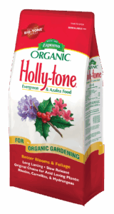 Holly.tone_-1