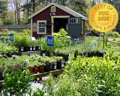 best nursery garden shop on Cape Cod