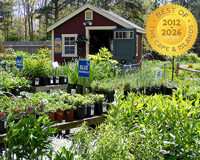 Best Nursery of Cape Cod and the Islands Award