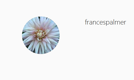 Frances Palmer Instagram