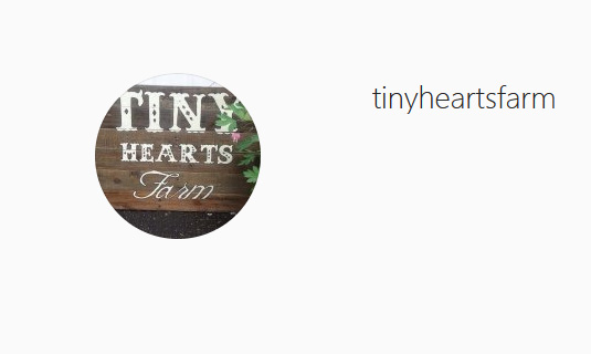 Tiny Hearts Farm Instagram