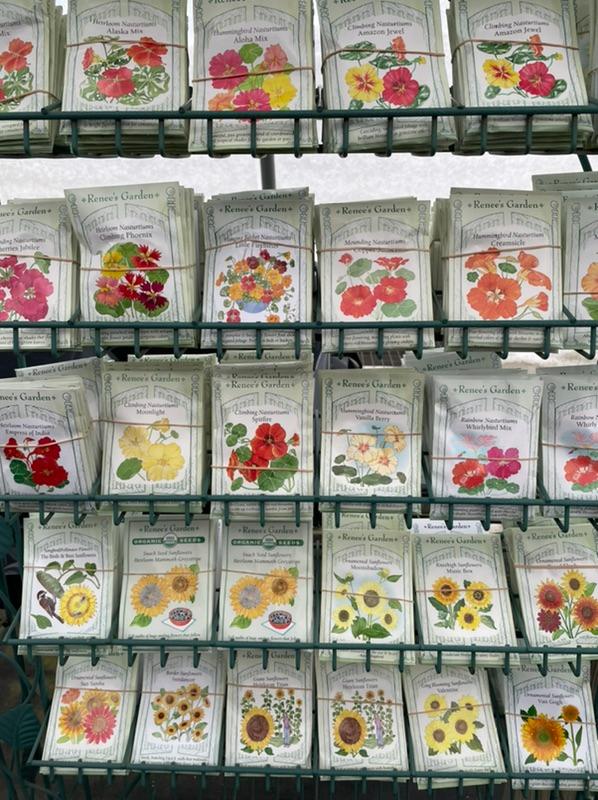 Flower and vegetable seeds at Soares Nursery Falmouth, MA